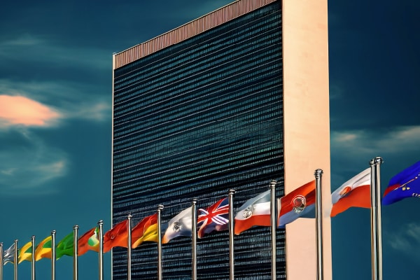 UN 140 year 1950s