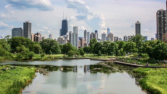 An urban skyline surrounded by greenery